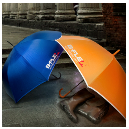 GSI Periferiche - B-FLEX GSI Periferiche - B-FLEX